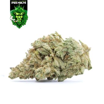 White Widow